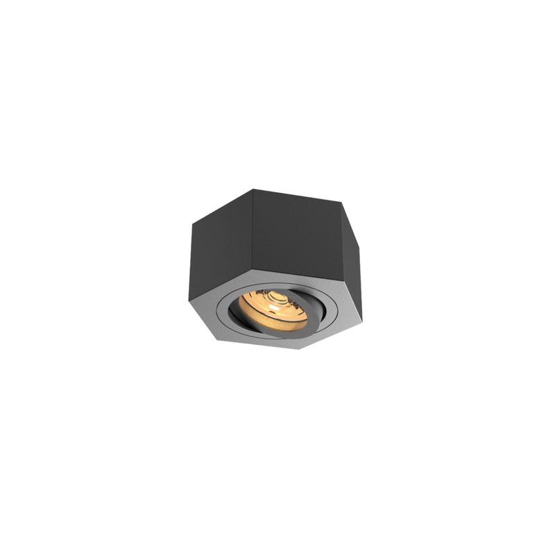 FLUSH GU10 Luz de techo ajustado RL-SMG070