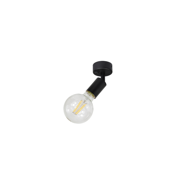 E27 60W Techo Light-RL-SMS096