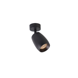 Ajuste de la luz descendente montada en el techo GU10 RL-SMG147