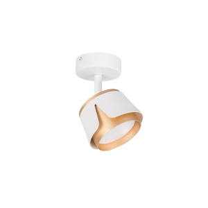 White y Gold GX53 Down Light