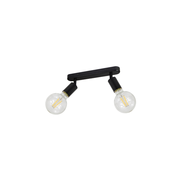 E27 60W Techo Light-RL-SMS096
