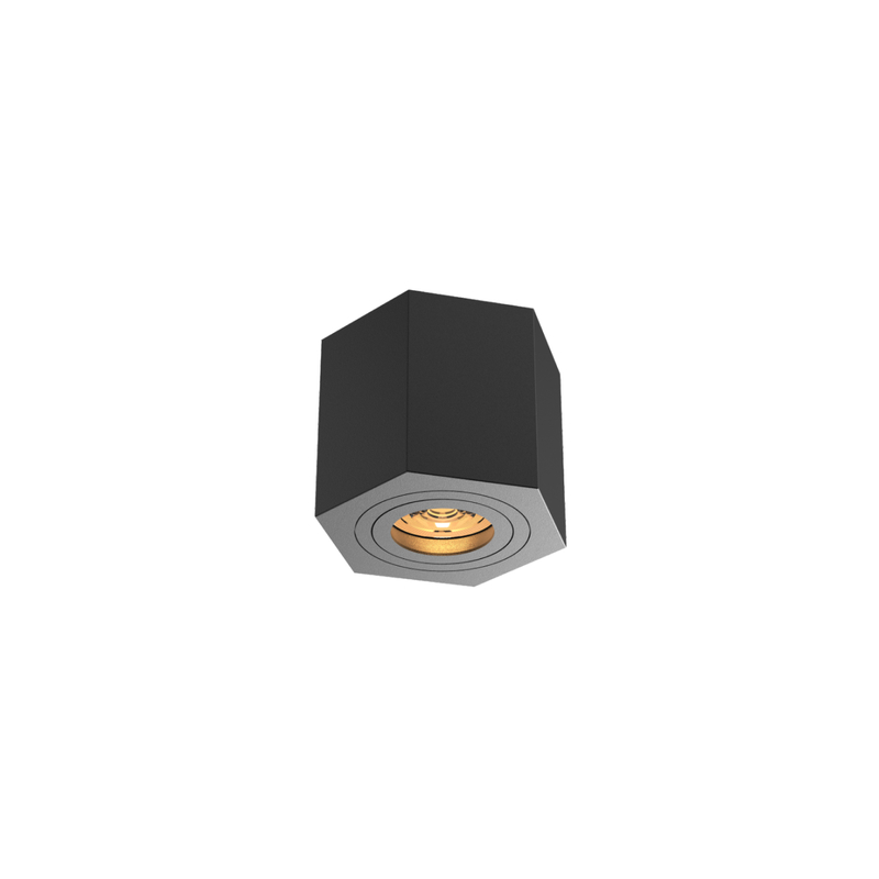 FLUSH GU10 Luz de techo ajustado RL-SMG070
