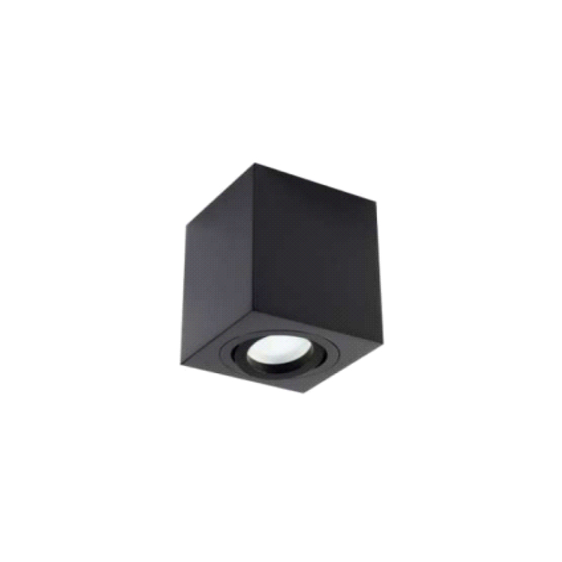 Downlight de cilindro montado en el techo GU10 RL-SMG036