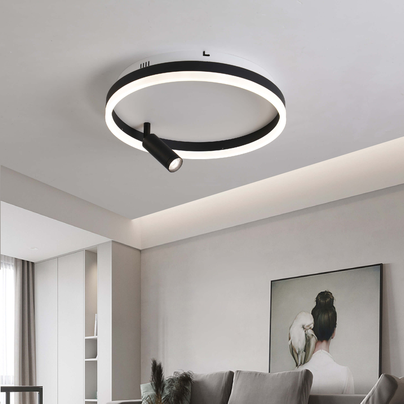 Iluminación de techo LED de hierro y aluminio con foco