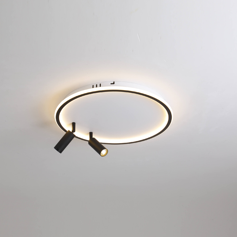 Luz de techo LED con foco LED simple y doble