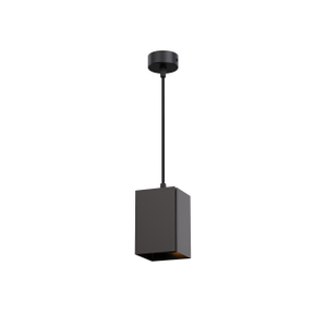 E27 Luz colgante colgante RL-SMP359
