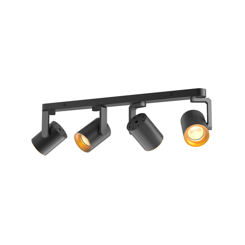 Gu10 Spotlight ajustable para el hotel RL-SMG181
