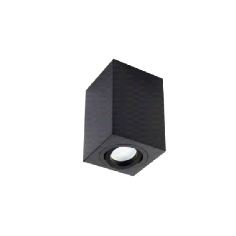 Downlight de cilindro montado en el techo GU10 RL-SMG036