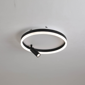 Iluminación de techo LED de hierro y aluminio con foco