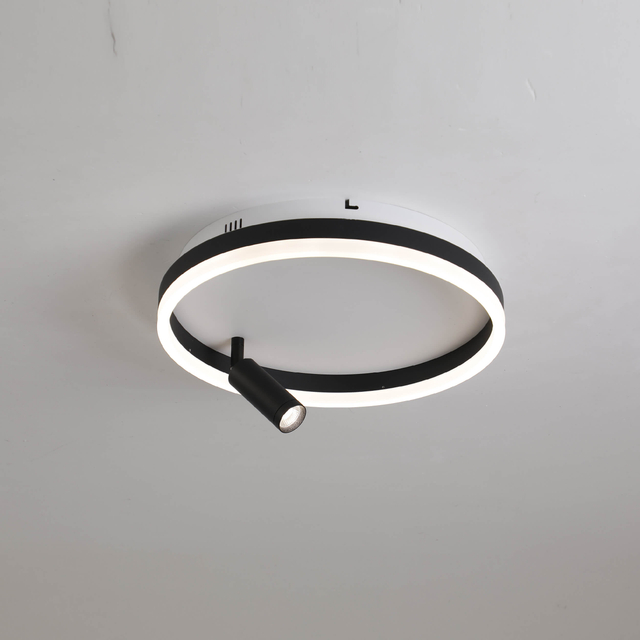 Iluminación de techo LED de hierro y aluminio con foco
