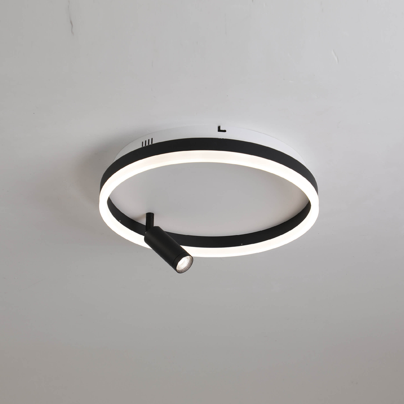 Iluminación de techo LED de hierro y aluminio con foco