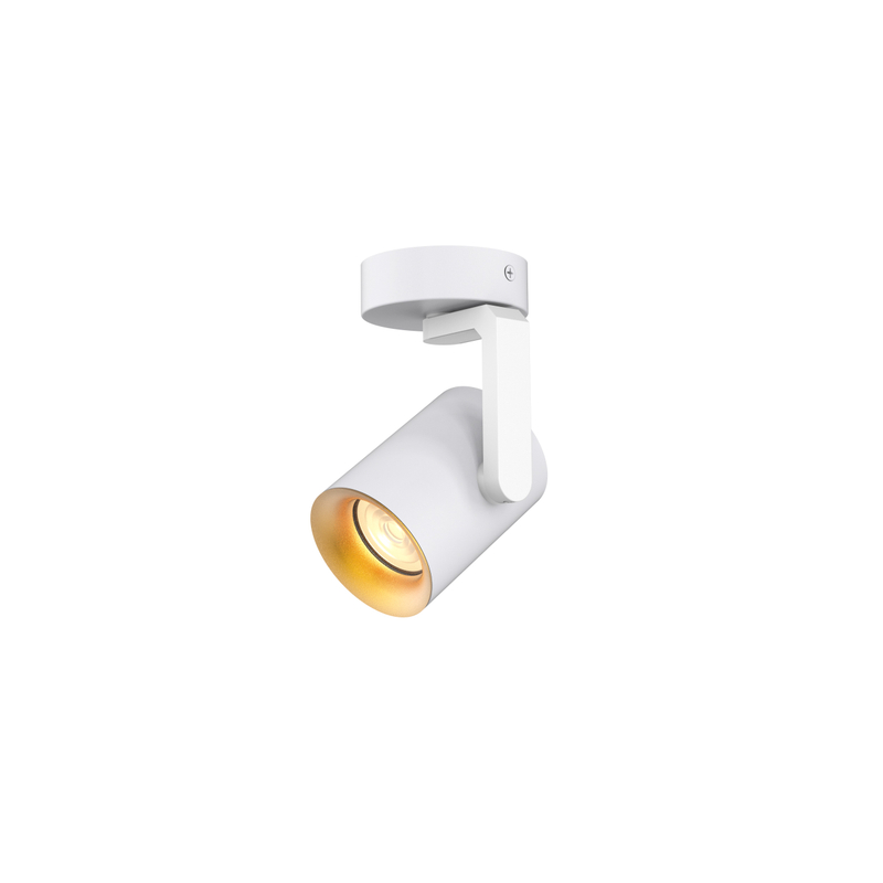 Gu10 Spotlight ajustable para la sala de estar RL-SMD181
