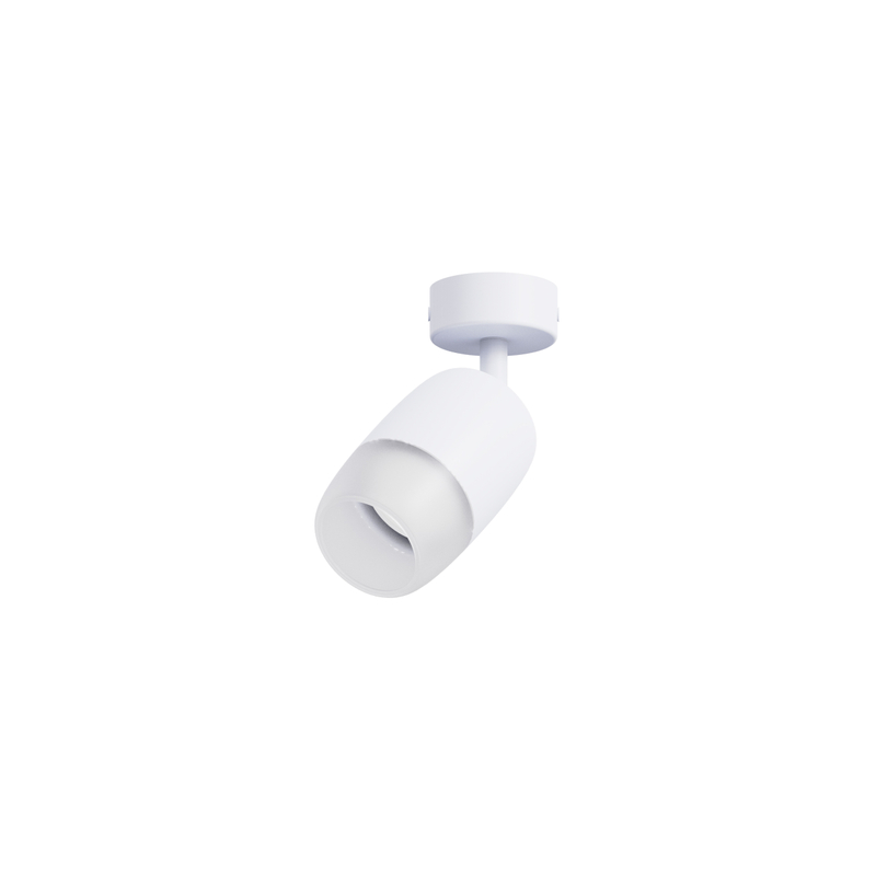 Gu10 Spot Downlight RL-SMG141