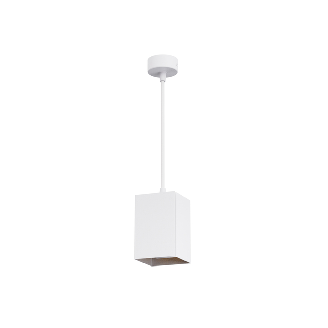 E27 Luz colgante colgante RL-SMP359