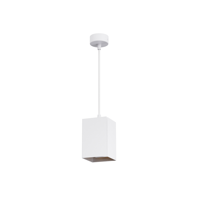 E27 Luz colgante colgante RL-SMP359