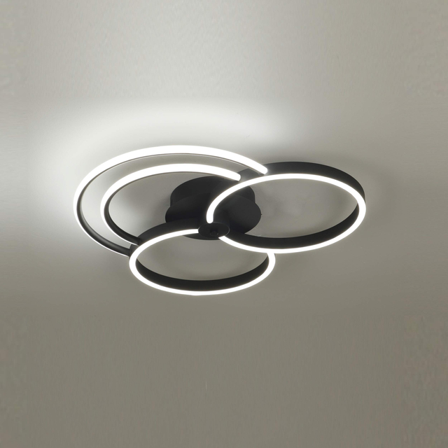 Luz de techo de círculo única RL-MX25165