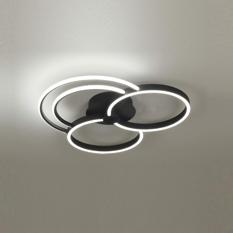 Luz de techo de círculo única RL-MX25165