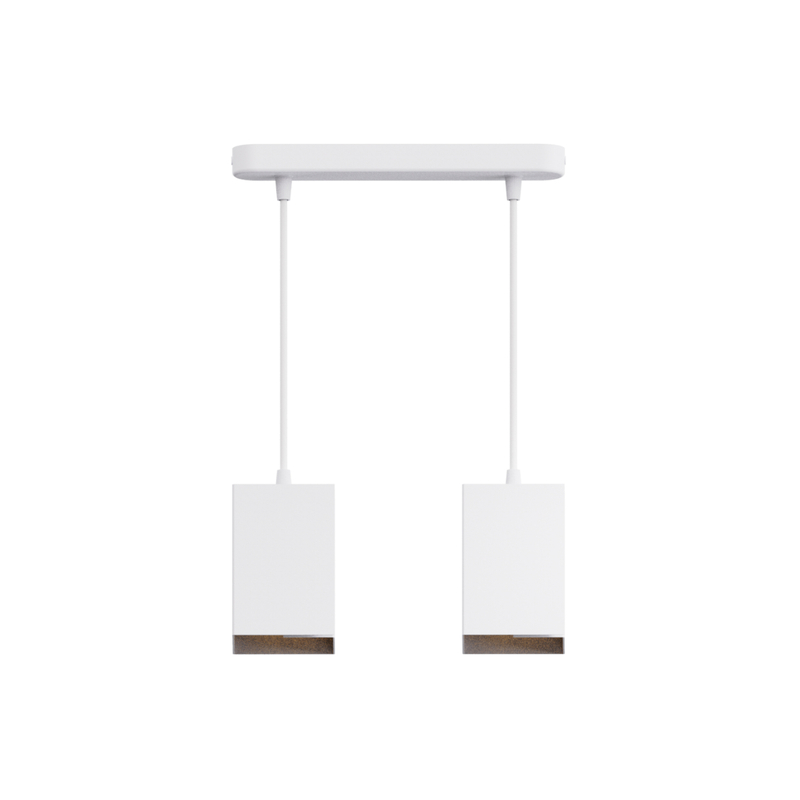 E27 Luz colgante colgante RL-SMP359