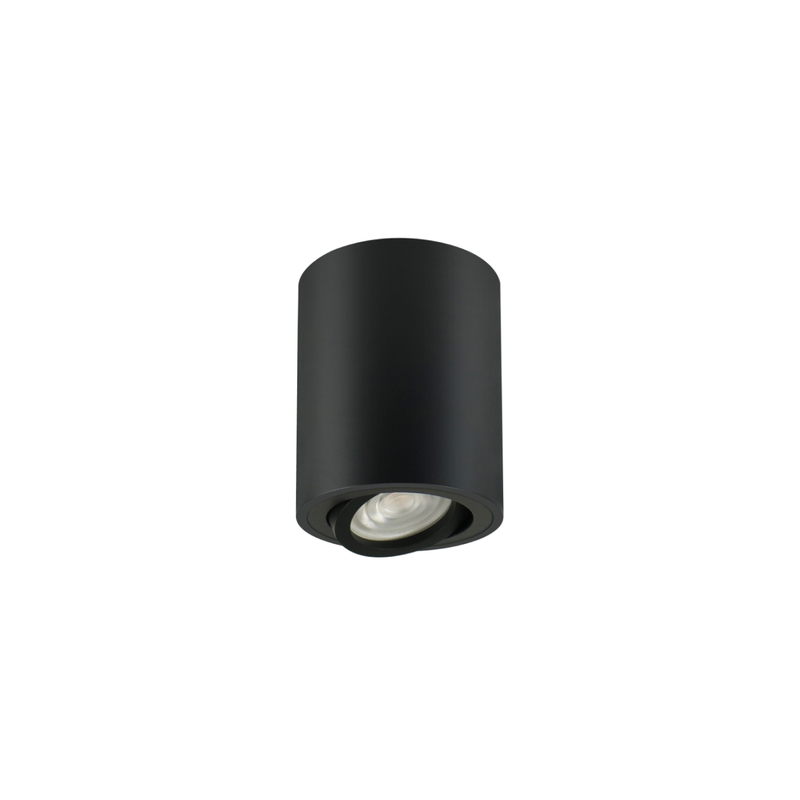 Downlight de cilindro montado en el techo GU10 RL-SMG036